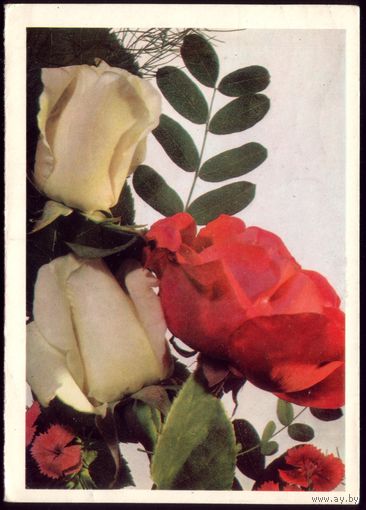 1977 год Е.Савалов С днём рождения!
