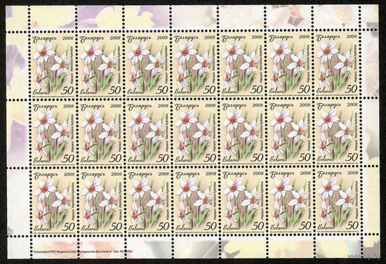 Беларусь. 2008. Стандарт.  Нарцисс (50р) (з.56-2010) Лист