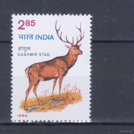 [2200] Индия 1982. Фауна.Олень. Одиночный выпуск. MNH