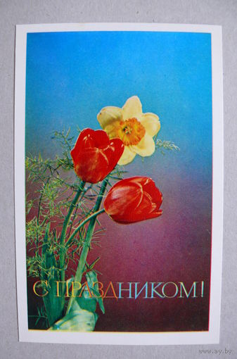 Лисецкий В.(фото), С праздником! 1974, чистая.
