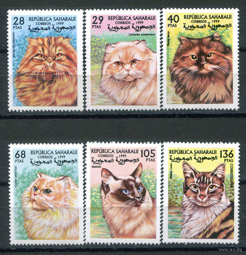 Сахара - 1995г. - Кошки (2) - 6 марок - полная серия, MNH. #O-Se-Z-1-1