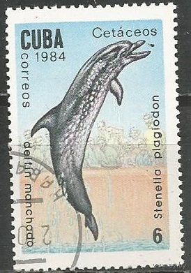 Куба. Большелобый продельфин. 1984г. Mi#2831.