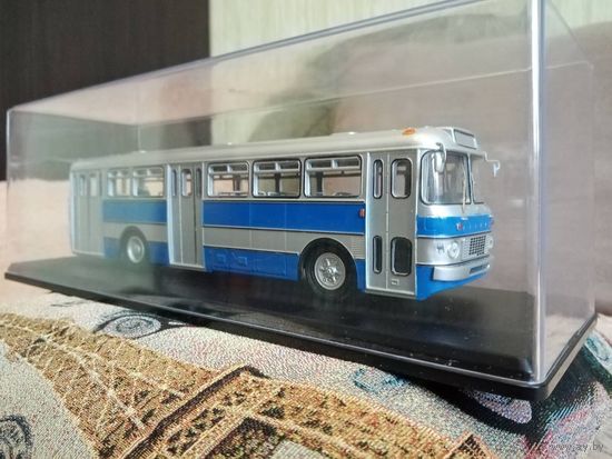 Икарус-556. Сова.