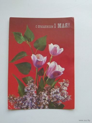 С праздником 1 мая! Фото И. Дергилева. 1990 год