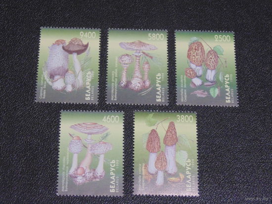 Беларусь 1998 г. Грибы.