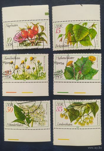 ГДР Германия 1978 Цветы
