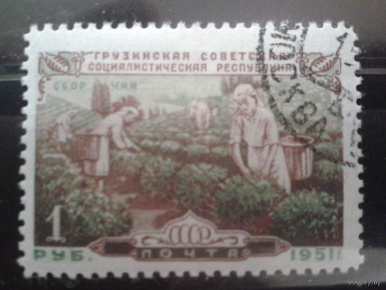 1951 Грузия, сбор чая с клеем Михель-6,0 евро гаш