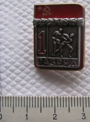 Первый разряд борьба