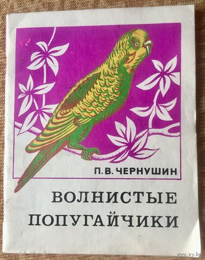 Волнистые попугайчики