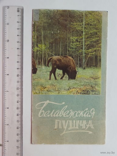 Буклет  Белавежская пушча 1960 г