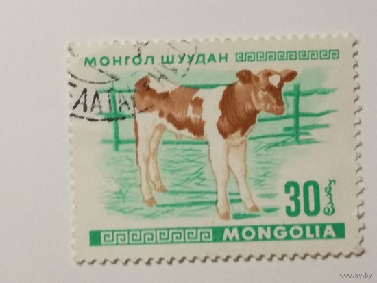 Монголия 1968. Молодые животные.