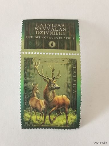 Животные Латвии - Олень благородный (Cervus elaphus)