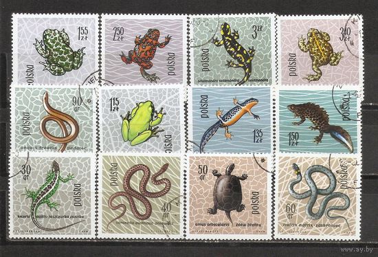 ФФ2 Польша 1963 Земноводные гаш