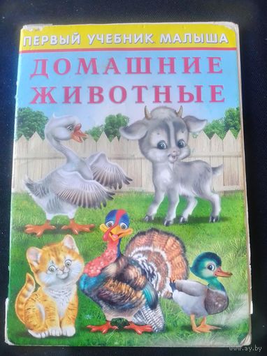 Домашние животные.