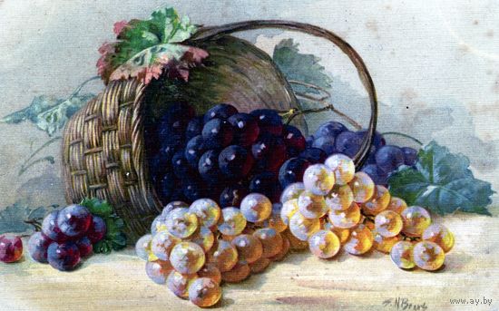 Открытка, почтовая карточка,   ВИНОГРАД