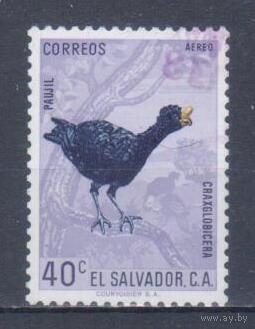 [1225] Сальвадор 1963. Фауна.Птицы. Гашеная марка.