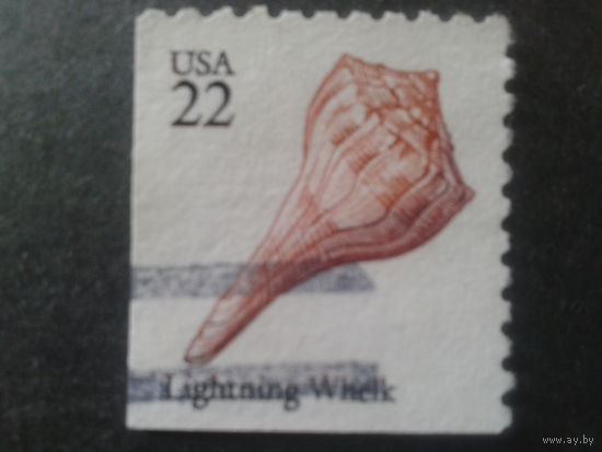 США 1985 стандарт, ракушка