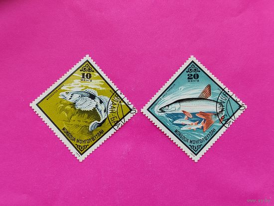 Монголия. Рыбы. ( 2 марки ) 1975 года. 3-4.
