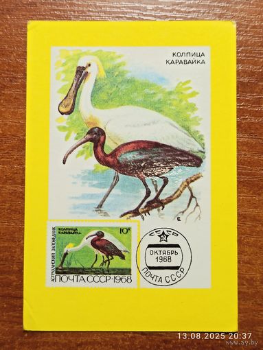 Календарик 1991 Колпица Каравайка