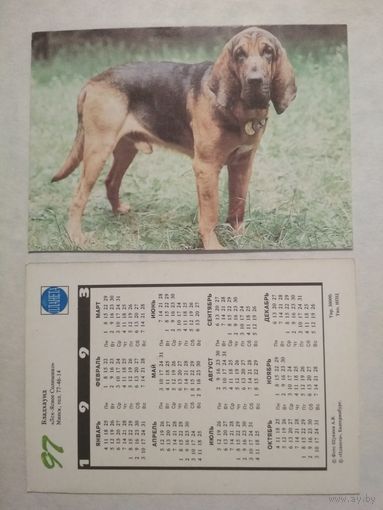 Карманный календарик. Собака.1993 год