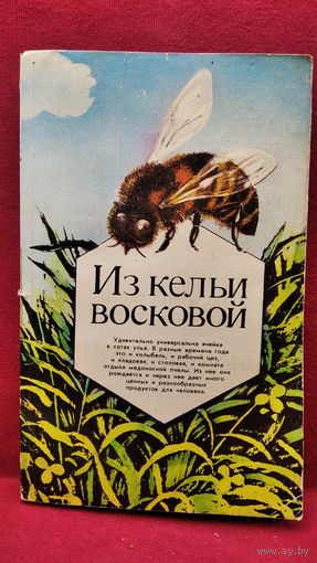 Из кельи восковой