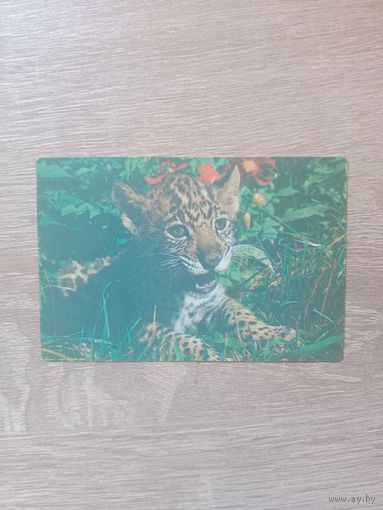 Календарик 1990