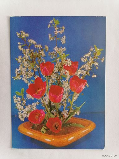 Открытка из СССР, 1985г, подписанная.