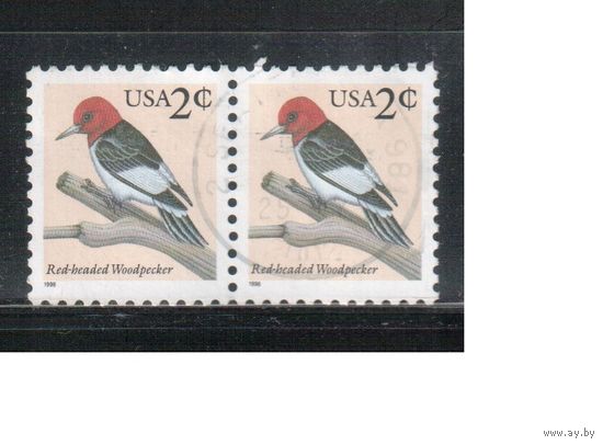 США-1996 (Мих.2692) , гаш. , Стандарт, Фауна, Птицы(одиночка), пара