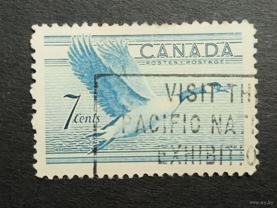 Канада 1952. Птицы - Канадский гусь. Полная серия