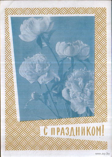 Подписанная открытка 1963г. "С праздником! Розы" худ. Н. Круглов