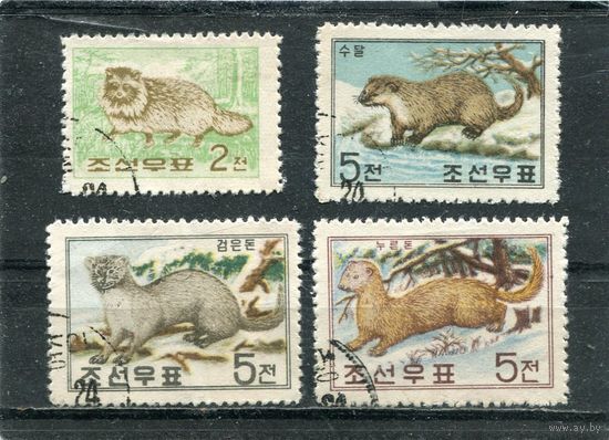 КНДР. Фауна. Пушные звери