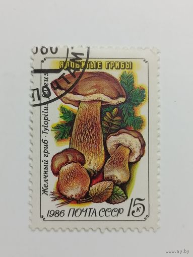 1986 СССР. Ядовитые грибы