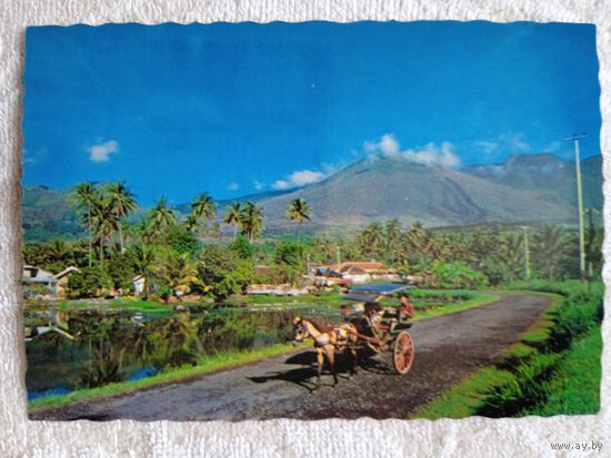 Западная Ява. Панорама в Чипанас-Гаруте