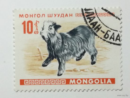 Монголия 1968. Молодые животные.