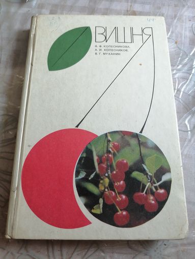 Вишня.