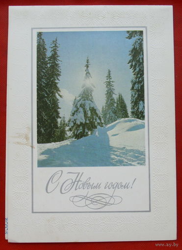С Новым годом! Чистая. Двойная. 1981 года. Фото Иванов. *193.