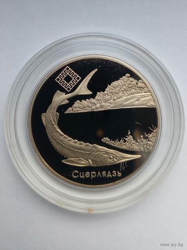 1 рубль 2007 г.Заказник ,,Днепро-Сожский"Стерлядь.(2)