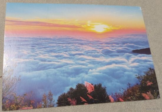 Посткроссинг. Открытка из Тайваня: рассвет в Алишане  (10х15). Прошла почту. Художественная марка, чёткий штемпель.
