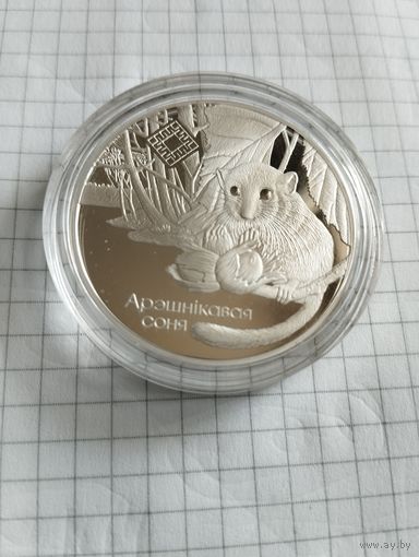 Орешниковая соня 20 руб