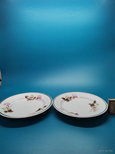 Тарелка СССР (одним лотом).