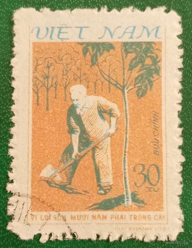 Вьетнам 1981. Хо Ши Мин сажает дерево