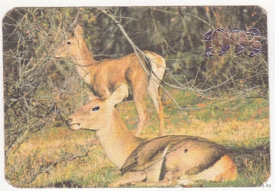 Календарик 1993 (241)