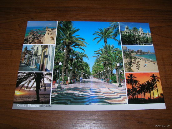 Коста Бланка Аликанте Испания Чистая