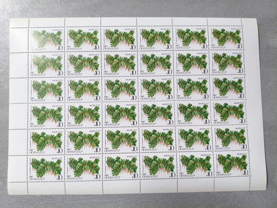 1987 СССР. Флора СССР - Папоротники. Сальвиния плавающая. Лист