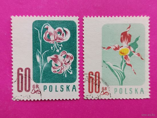 Польша. Цветы. ( 2 марки ) 1957 года. 3-10.