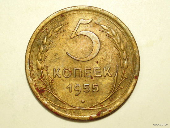 5 копеек 1955