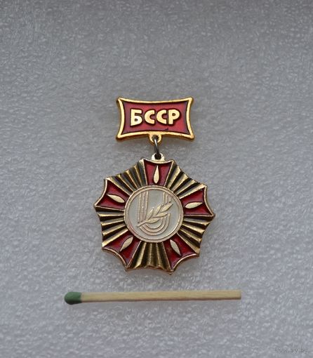 Спартакиада БССР, 1 место.