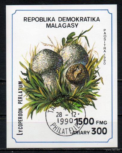 Грибы Мадагаскар 1990 год 1 блок