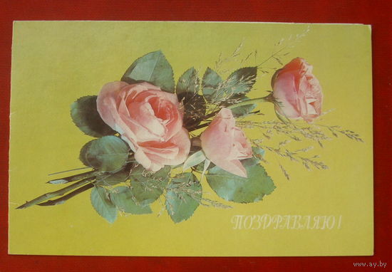 Поздравляю! Подписанная. Двойная. 1990 года. Дергилева. 1180.