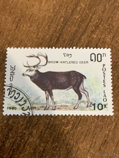 Лаос 1990. Brow-antlered deer. Марка из серии